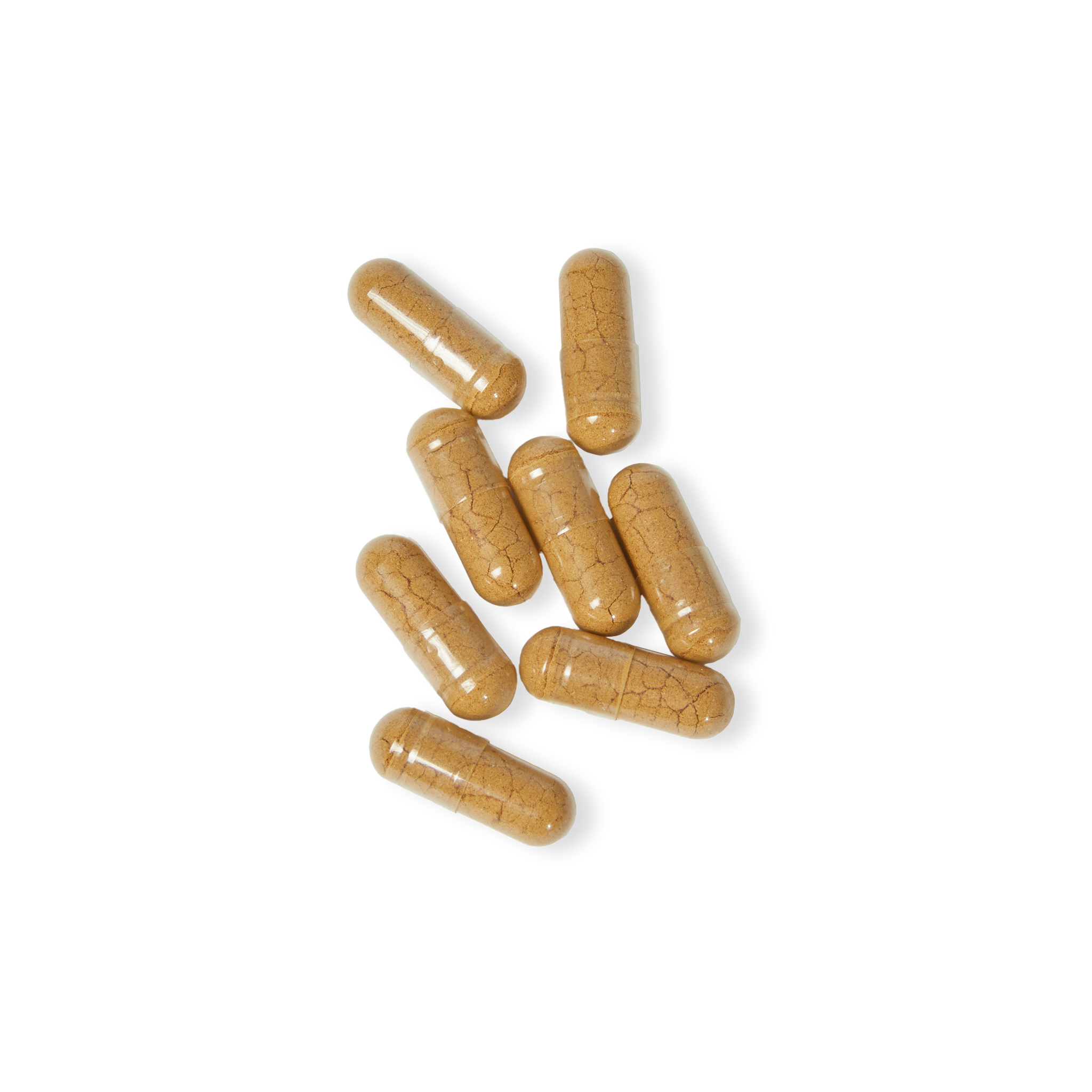 Mushroom Blend Supplement (60 Capsules) - Image 3